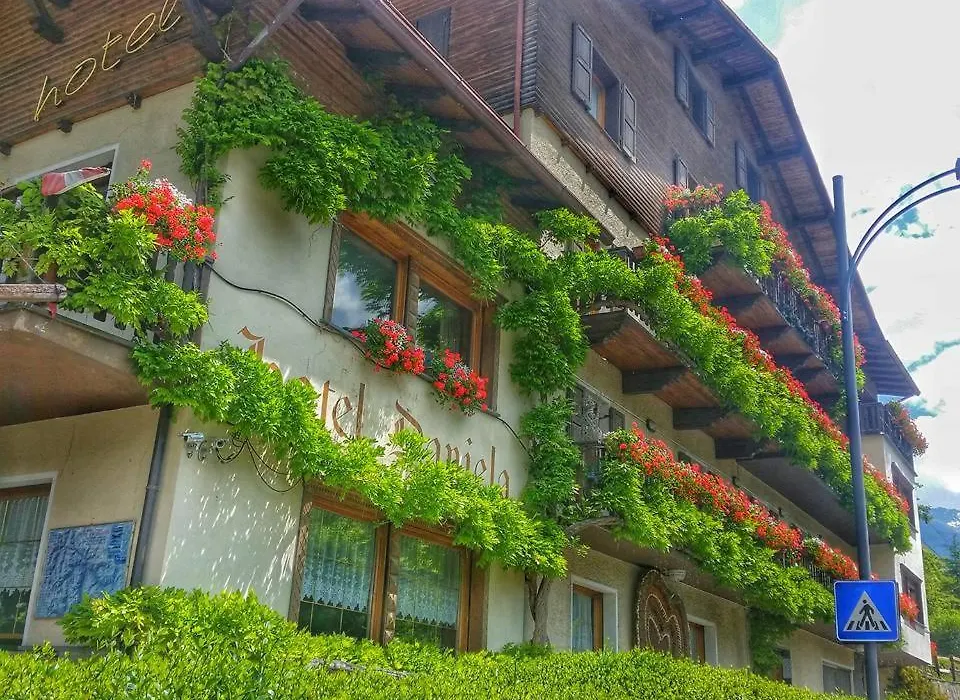 Hotel Daniela-1